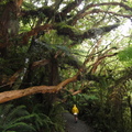 DSC01881