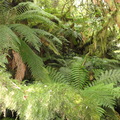 DSC01884