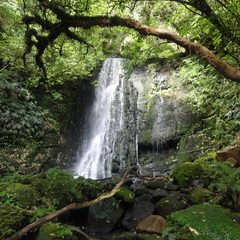 DSC01945