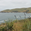 DSC01952