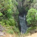DSC01954