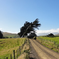DSC02113