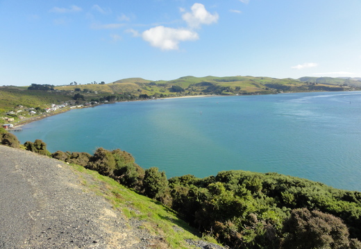 DSC02118