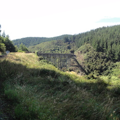 DSC02135