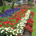 DSC02337