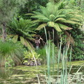 DSC02340