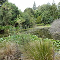 DSC02341