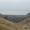DSC02393