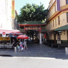 DSC02442