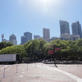 DSC02447