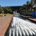 DSC02455