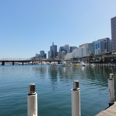 DSC02456