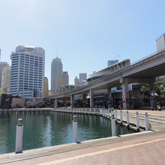 DSC02461