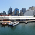 DSC02466