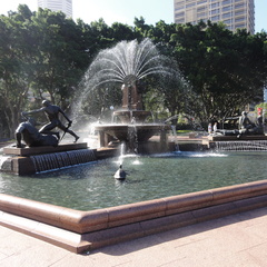 DSC02504