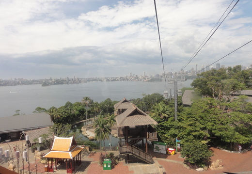 DSC02555