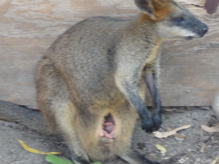 DSC02584