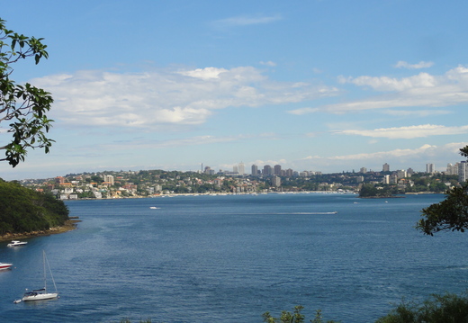 DSC02592