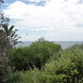 DSC02655