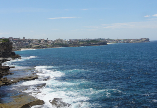 DSC02659