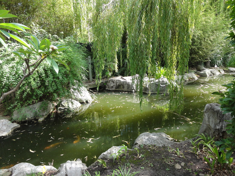 DSC02901.JPG