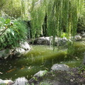 DSC02901