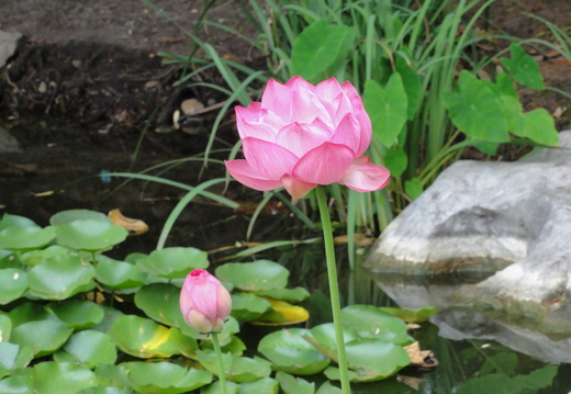 DSC02905