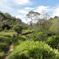 DSC02684