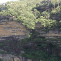DSC02705