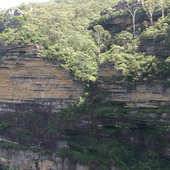 DSC02705