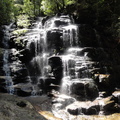 DSC02851