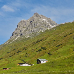 DSC06570