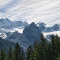 DSC 2897