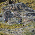 DSC 2955