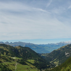 DSC06651