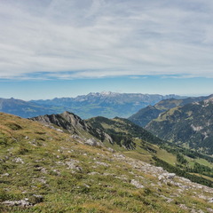 DSC06674