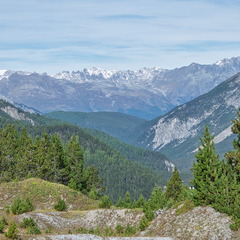DSC 3046