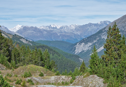DSC 3046