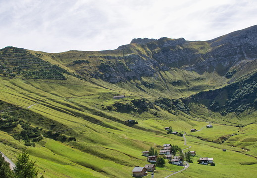 DSC 3081