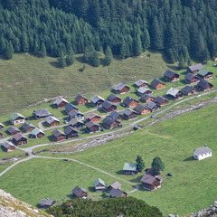 DSC 3119