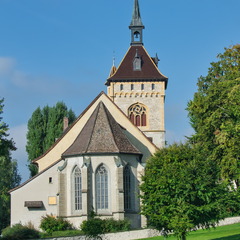 DSC 3179