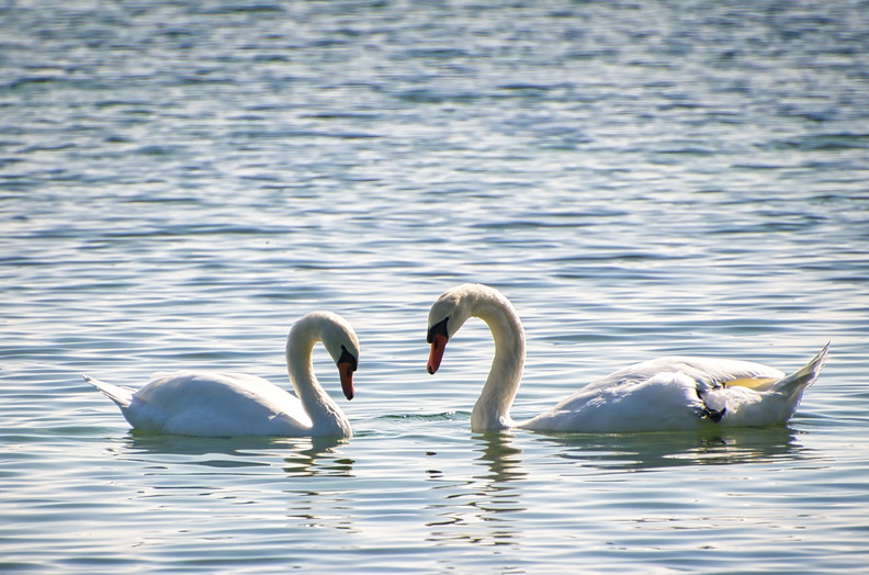 DSC_3199.jpeg