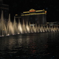 IMG_2873.jpg