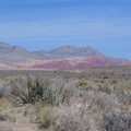 IMG_2878.jpg