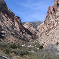 IMG_2879.jpg