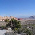 IMG 2886