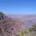 IMG_2936.jpg