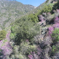 IMG_3212.JPG