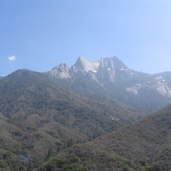 IMG 3245