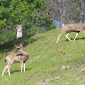 IMG_3253.JPG